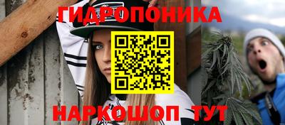МДПВ Донецк